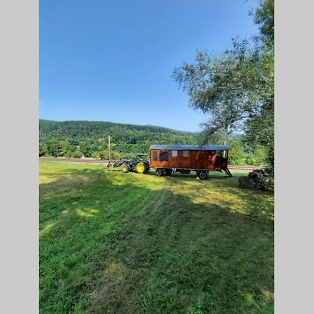 Autarkes Tiny House Mit Rheinblick Daire Rumikon Dış mekan fotoğraf