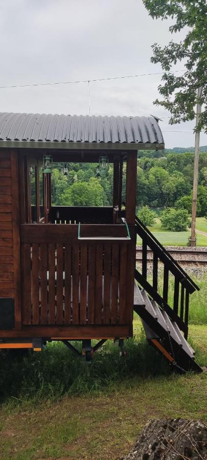 Autarkes Tiny House Mit Rheinblick Daire Rumikon Dış mekan fotoğraf