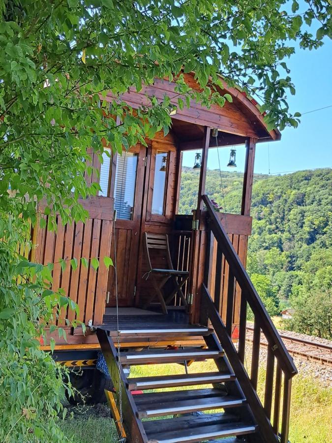 Autarkes Tiny House Mit Rheinblick Daire Rumikon Dış mekan fotoğraf
